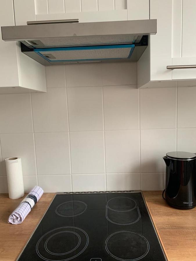 Apartament Zieleniec Stary Toruń Exteriér fotografie